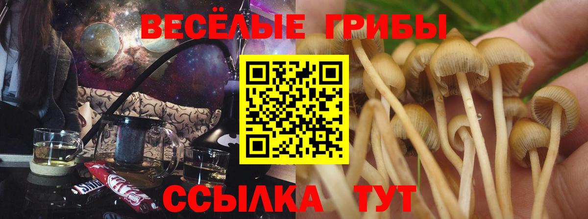 Рузаевка  Галлюциногенные грибы Psilocybine cubensis  Вход с VPN 