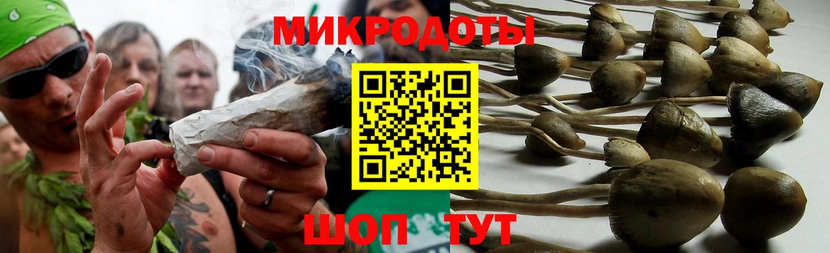 Галлюциногенные грибы Psilocybine cubensis Рузаевка
